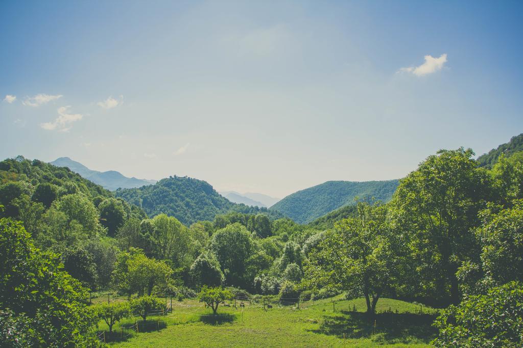 Casa Etxalde ξενώνας Camprodon Εξωτερικό φωτογραφία