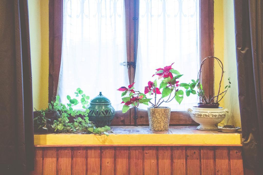 Casa Etxalde ξενώνας Camprodon Εξωτερικό φωτογραφία